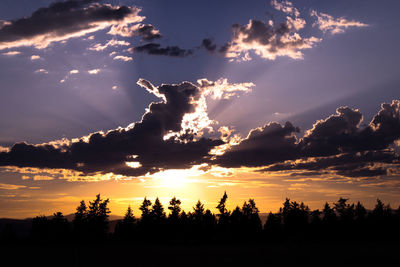 Silhouette trees against sky during sunset