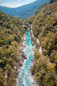 High angle view of river amidst trees