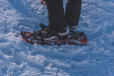 winter