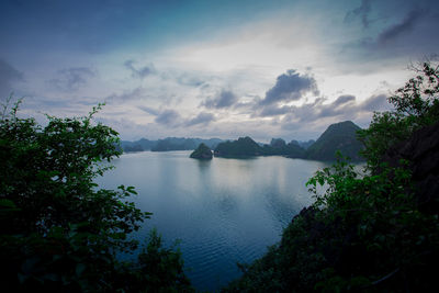 Scenic view of lake by trees against sky