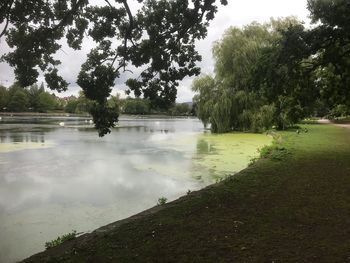 Scenic view of lake against trees