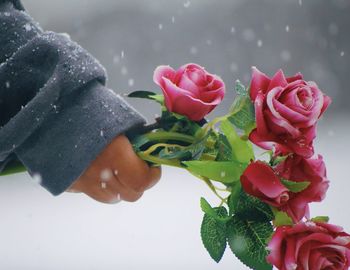 Close-up of hand holding rose bouquet