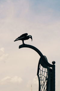 Low angle view of sky