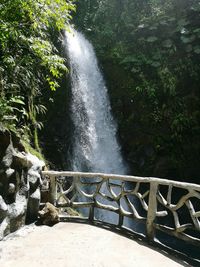 Scenic view of waterfall against trees