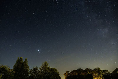 Low angle view of silhouette trees against star field