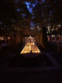 Illuminated fountain in park at night