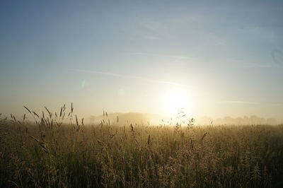 Scenic view of field against sky during sunset