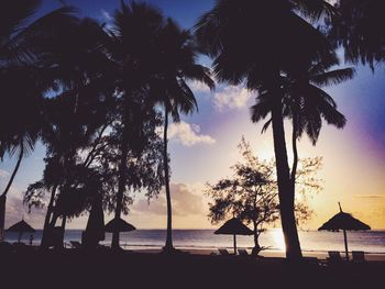 Silhouette palm trees on beach against sky at sunset