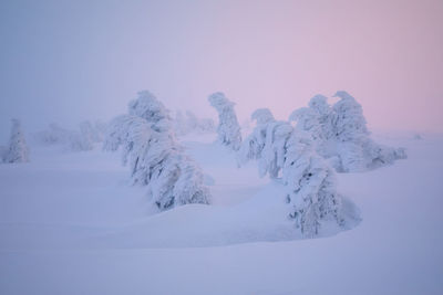 Snow covered landscape against clear sky