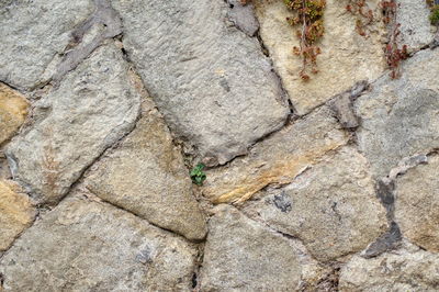 Full frame shot of a rock