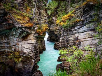 Scenic view of waterfall in forest