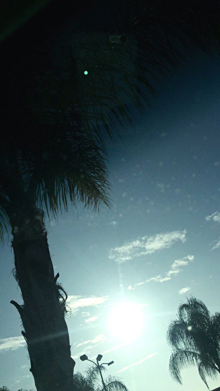 low angle view, tree, sun, sunlight, sky, sunbeam, lens flare, tranquility, nature, growth, beauty in nature, blue, outdoors, sunny, no people, scenics, tranquil scene, tree trunk, bright, day, idyllic, cloud - sky, high section, cloud