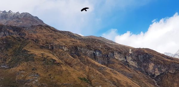 Low angle view of bird flying over mountain against sky