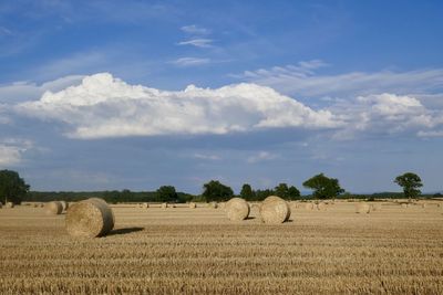 Hay bales on field against sky