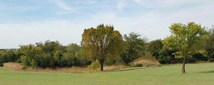 Scenic view of grassy field against sky