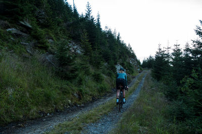 Rear view of person riding bicycle on road