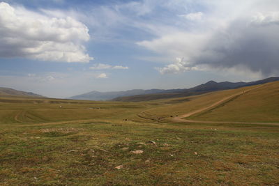 Distant view of assy plateau with road and beautiful sky with clouds in summer