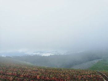 Scenic view of field against sky during autumn