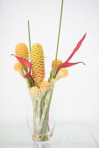 Close-up of flowers in vase