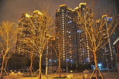 Illuminated trees by buildings against sky at night