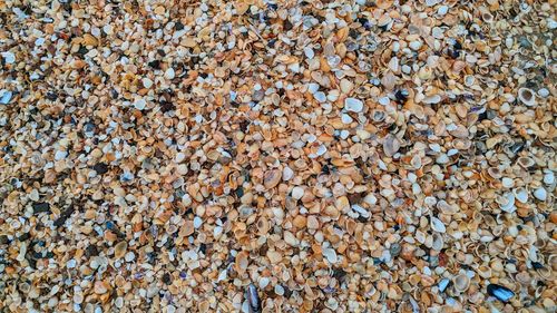 High angle view of stones on beach