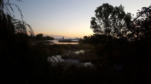 Silhouette trees by calm lake at sunset