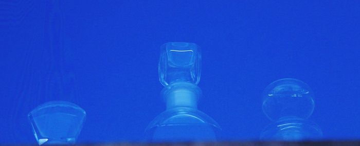 Close-up of jellyfish against blue water