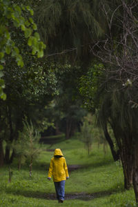 Rear view of woman standing on field