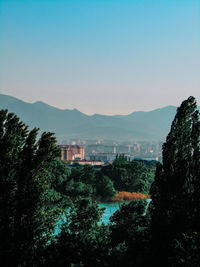 Trees and buildings against clear sky