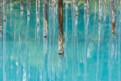 Reflection in blue pond