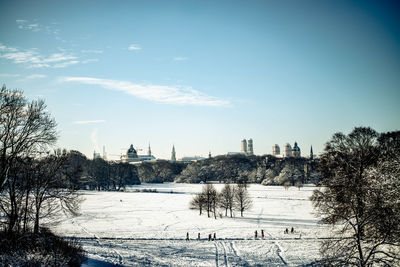 Trees and buildings on field against sky during winter