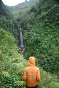 Gaze at a natural waterfall surrounded by green trees