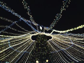 Close-up of illuminated lamp