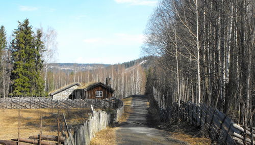 Walkway amidst trees in forest against sky