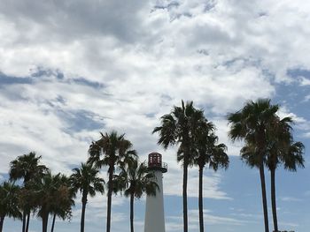 Low angle view of palm trees against sky