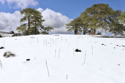 Scenic view of snow covered field against sky