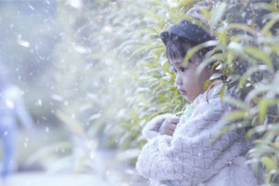 Close-up of snow on leaf during winter