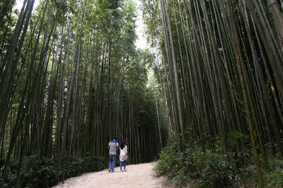 Rear view of people walking at forest