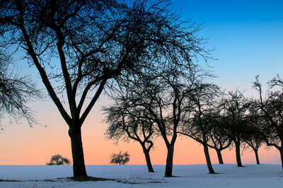 Bare trees on snow covered landscape against sky