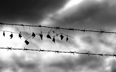 Low angle view of barbed wire against cloudy sky