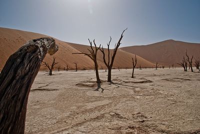 Scenic view of desert against clear sky