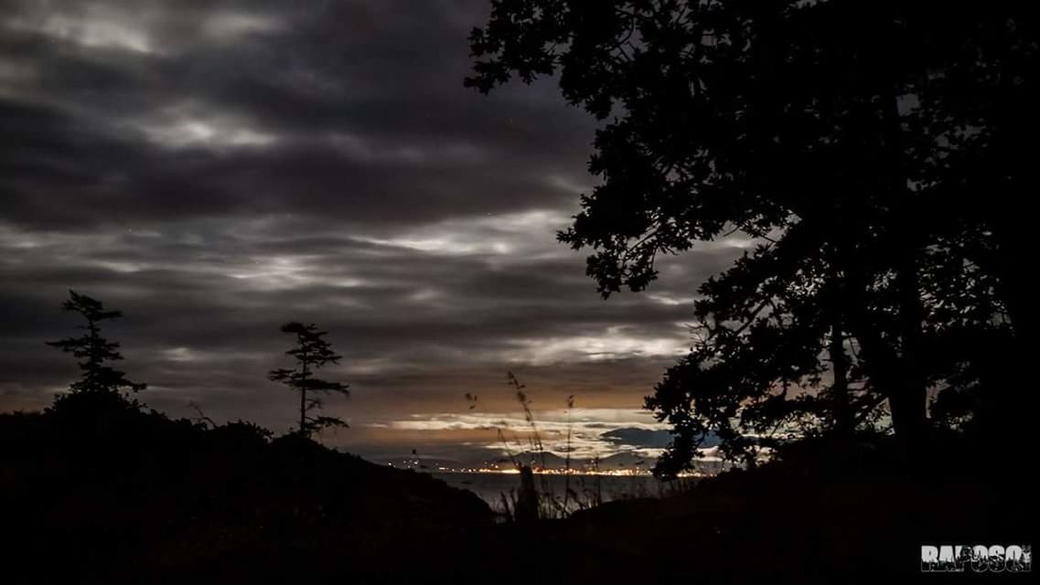 SILHOUETTE OF TREES AND CITY AGAINST CLOUDY SKY