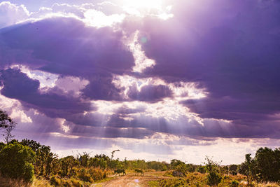 sky