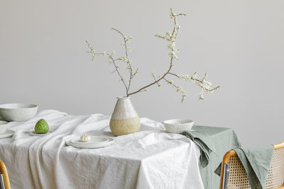 Potted plant on table against white background