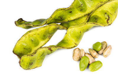 High angle view of green leaf on white background