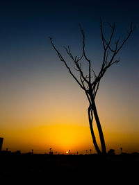 Silhouette bare tree against sky during sunset