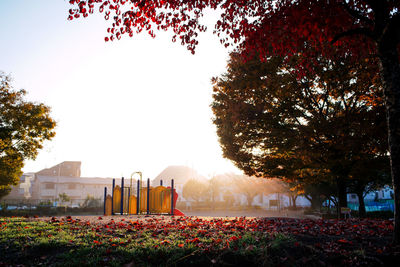 Autumn trees against clear sky