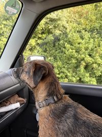 mode of transportation