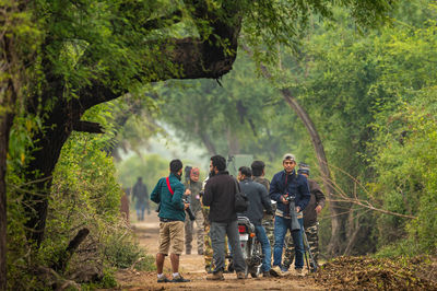 Rear view of people standing in forest