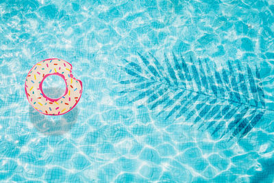 High angle view of bread floating on swimming pool